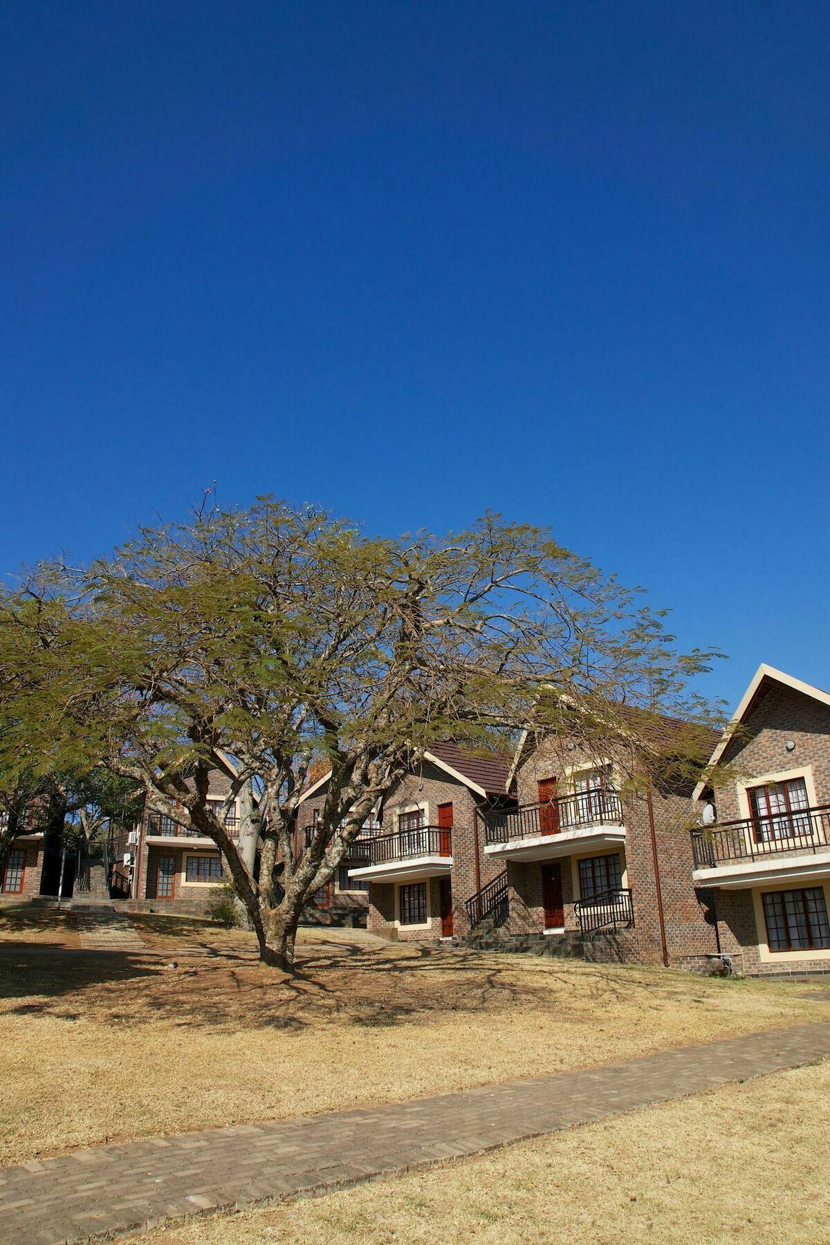 ווייט ריבר Destiny Lodge מראה חיצוני תמונה